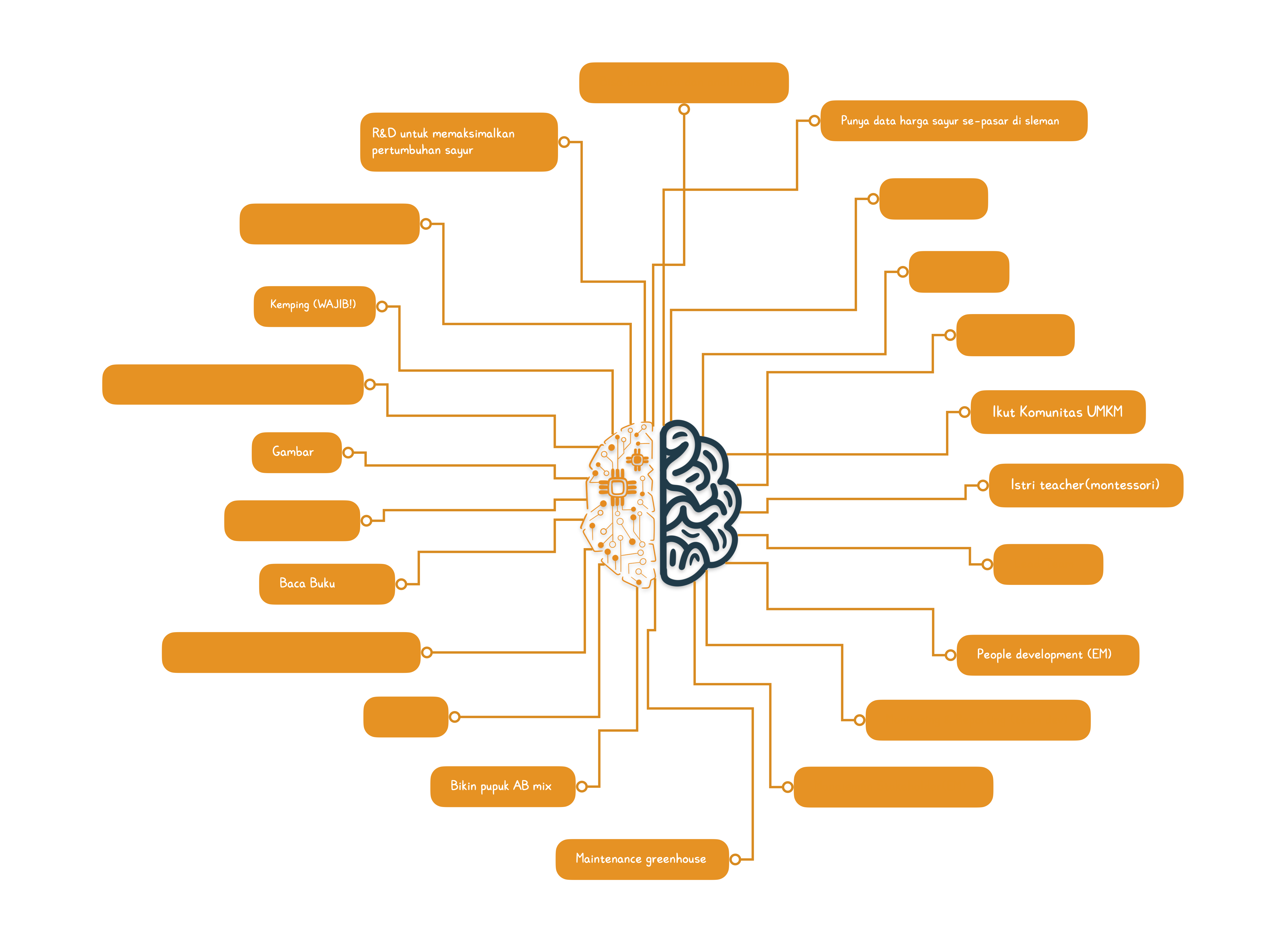 Freelancer Roadmap